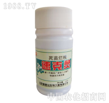 ��ɽ����-���砀���ٿ��`