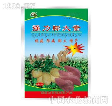 ����-���������