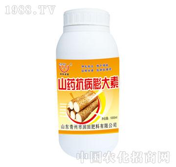 ����-ɽˎ���������