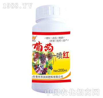 ��(r��n)��-����һ���t