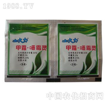 �L�p-������-��˪��ù�`