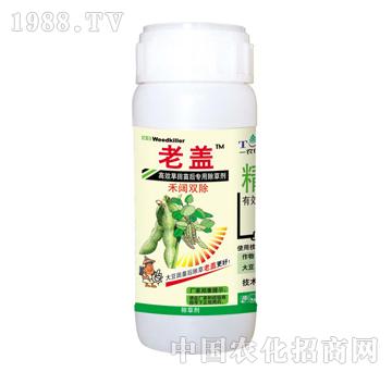 ����p��-���w-̩�(y��ng)