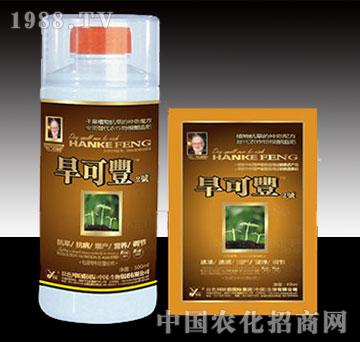 �����S2̖(h��o)�V�V