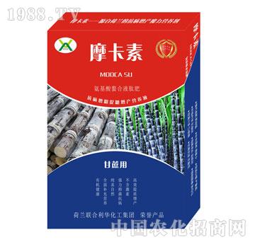 ���ጣ�ð���������Һ�ķ�-Ħ����-��(qi��ng)о��(gu��)�H