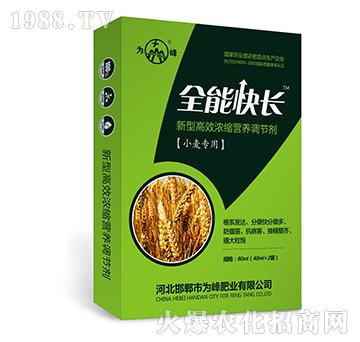 ȫ�ܿ��L��С�����ã�-���͸�Ч��s�I�B(y��ng)�{(di��o)��(ji��)��-���