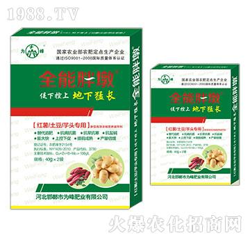 �t�������������^����-ȫ���ֶ�-���