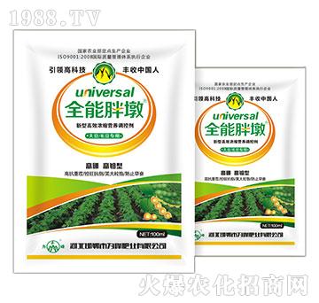 ��ë������-ȫ���ֶ�-���