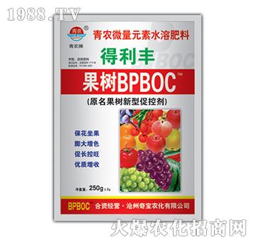 250g����ٿ؄�BPBOC-�挚�r��