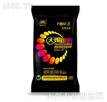 ���n�Z�C-̼�ܼ��Z�����ЙC��-����