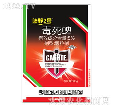 5%�������w����-�Ұ2̖-�Ұ�r��