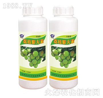 ��֦�����-�r�_����