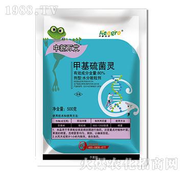 80%�׻�����`-�����f(w��n)��-���¿��r(n��ng)