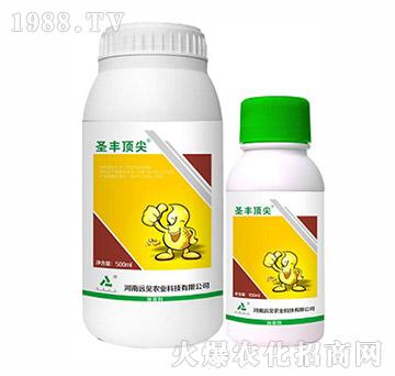 10.8%��Ч�����׺��`-ʥ�S피�-�hҊ�r(n��ng)�I(y��)