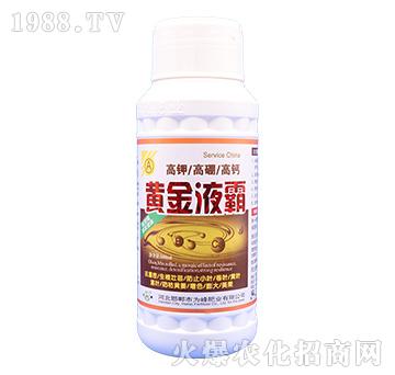 ��⛸�����}-�S��Һ��-���ʘI(y��)