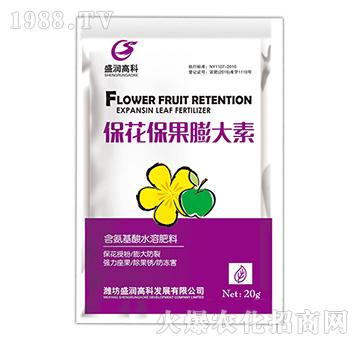 �������������-ʢ���߿�