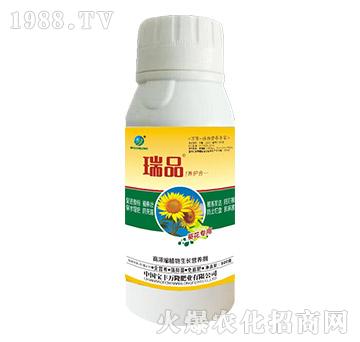 ������(zhu��n)�øߝ�sֲ�����L(zh��ng)�I(y��ng)�B(y��ng)��-��Ʒ-���S�f(w��n)¡