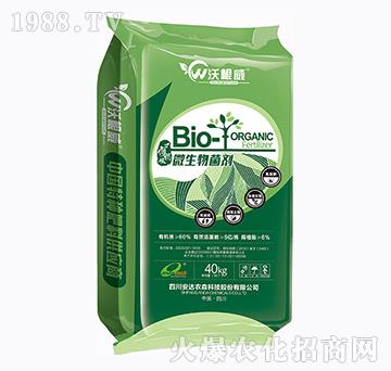 ΢�������-�ָ���-���_