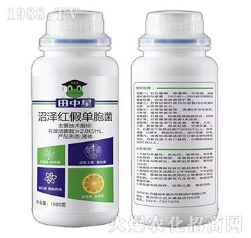 �ӝɼt�نΰ�����1000�ˣ�-������