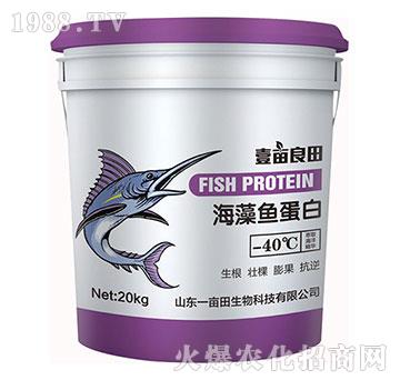 �����~(y��)����-Ҽ������