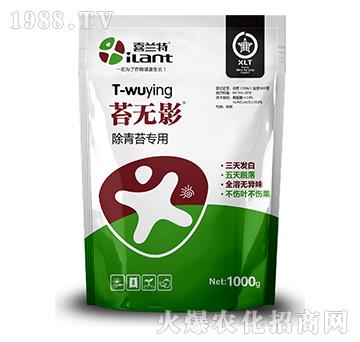 ����̦��(zhu��n)��-̦�o(w��)Ӱ-ϲ�m��