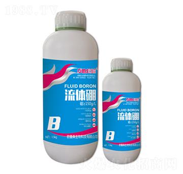 ���w��-�W��ɭ