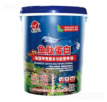 ����ך��ض๦�ܠI(y��ng)�B(y��ng)Һ-�~�ĵ���-����t