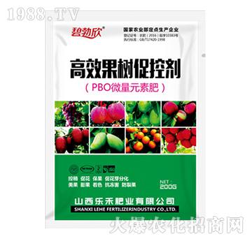 ����ٿ؄�-����