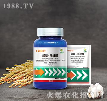 80%ϩड�����ͪ-�ݱ���-С����