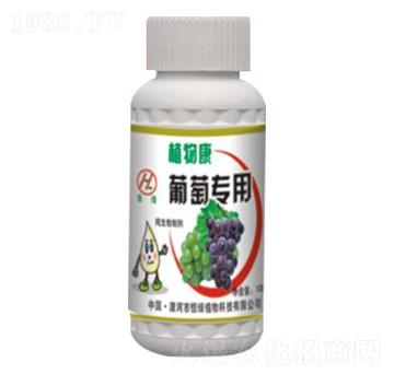 ���ь�(zhu��n)��ֲ�￵-��Gֲ��