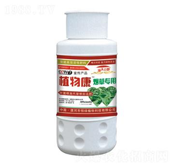 ���݌�(zhu��n)��ֲ�￵-�������-��Gֲ��