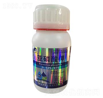 �������0-525-375-���_