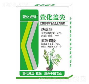 С�������(zhu��n)�ó��݄��M��-�滯�w��-�滯���h(yu��n)