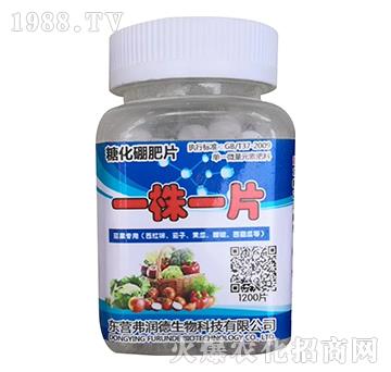 �ǻ����Ƭ-һ��һƬ-������