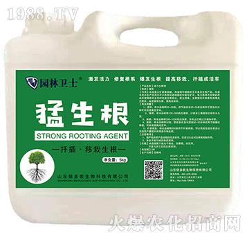 ������-�@���l(w��i)ʿ-������