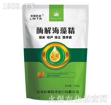 ø�⺣�徫-��ķ�؝�(r��n)