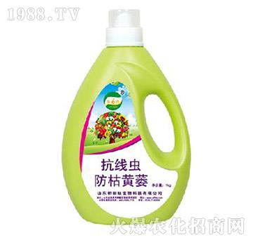 �����x�����Sή-����������