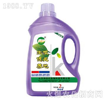 �������L(zh��ng)�B(y��ng)��-����������