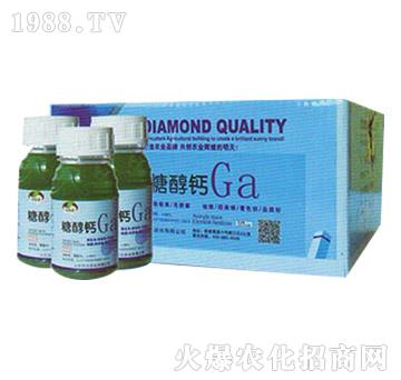 �Ǵ��}-�A���r��