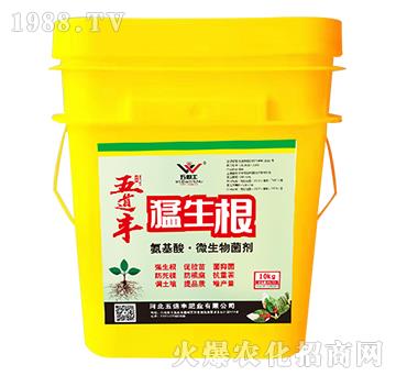 �����ᡤ΢�������-������-����S