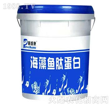 �����~�ĵ���-�վS��-�_�_(d��)