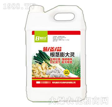 ���o����`-嫘���