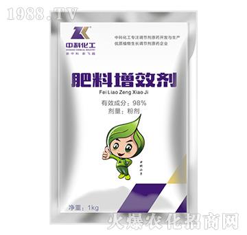 ������Ч��-�пƻ���