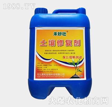 �����ޏ�(f��)��-�����-�W��ֲ��