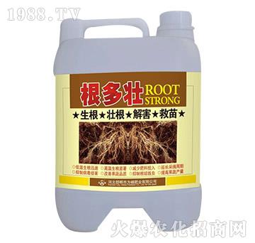 ������-���