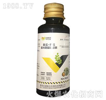 ��ϡ����������������-�R�Sֲ��