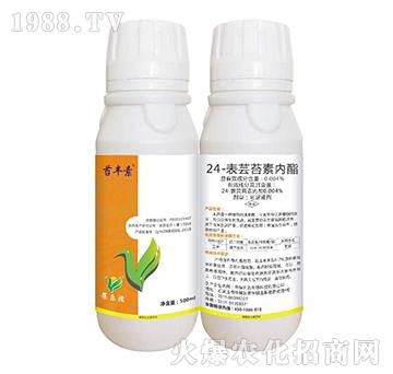 24-���|̦�؃�(n��i)����500ml��-�|�S��