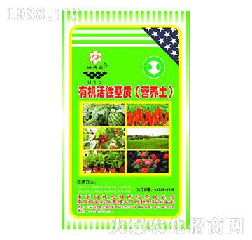 �ЙC(j��)���Ի��|(zh��)���I�B(y��ng)����-�ص���-����