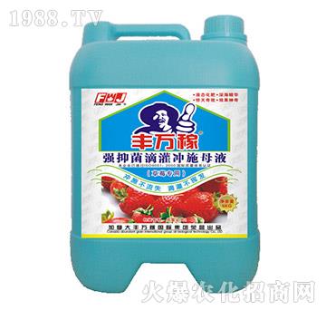 ��ݮ���Ï�(qi��ng)�־��ι��_ʩĸҺ-�S�f(w��n)��