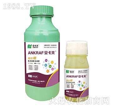 �Ǵ���-������