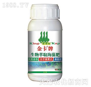 ������ȡ�����-��-� �����